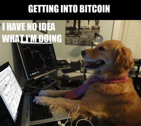 For instance, it is never a good idea to invest your house deposit on a speculation. Invest In These Bitcoin Memes - Bitcoin | Memes