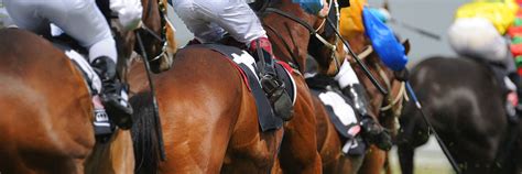 Social distancing protocols and other measures will be in effect to limit the. Preakness Stakes Packages - Global Events