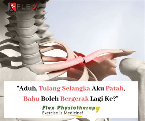 Tulang belikat adalah tulang berbentuk segitiga yang terletak di bagian belakang bahu atau punggung atas. FLEX PHYSIOTHERAPY: [Aduh, Tulang Selangka Aku Patah, Bahu ...