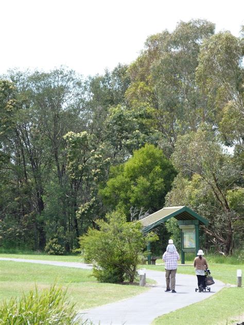 The english name is derived from its shape, which resembles the hump and head of a kneeling camel. Jells Park Walk, Wheelers Hill - Walking Maps