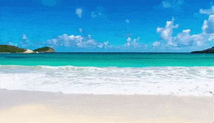 Explore and share the best zoom background gifs and most popular animated gifs here on giphy. The beach GIF | Beach images, Ocean projects, I love you animation