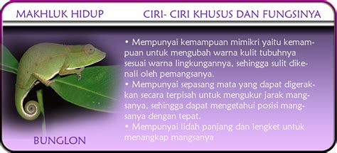 Kalau berbicara semaumu tentulah banyak orang yang. X-PLORE: Ciri-ciri khusus makhluk hidup