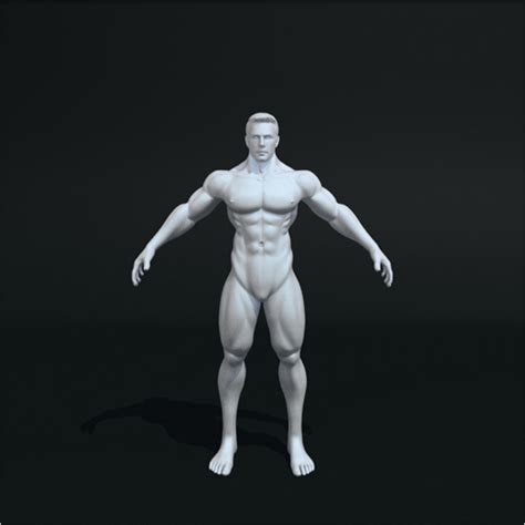 Your design in your hands. 38+ 3D Human Models Free Download | Anatomy Designs