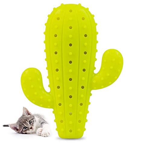 Because my roomie's dog got this exact toy in a barkbox and 25 min later, this sad cactus emerged. Pet Craft Supply Cactus Interactive Cat Toy Chew Toy Teeth ...