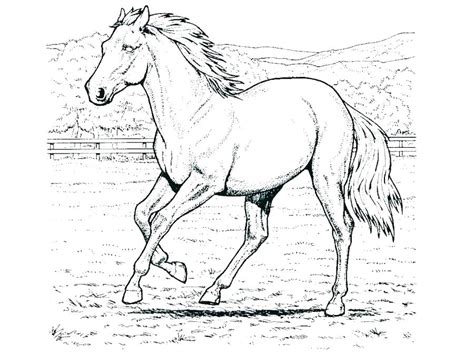 In the center are the words commonwealth of kentucky and united we stand, divided. Spirit Horse Coloring Pages at GetColorings.com | Free ...