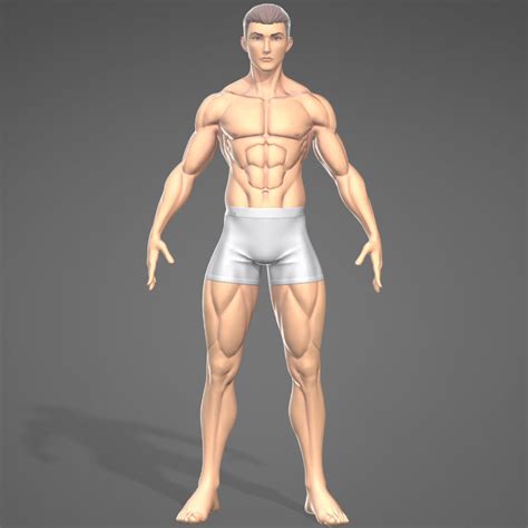 Muscle names are actually quite interesting. 3D male stylistic base body muscle model - TurboSquid 1302362