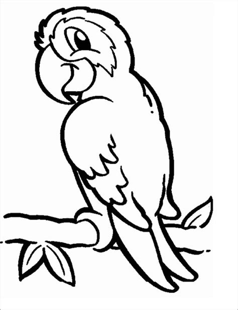 Josefina heathcote september 12, 2019 printable coloring no coloring pages supply an excellent technique to integrate learning and satisfaction for your kids and grownups have the sensation of feel colors through eyes. Parrot Coloring Pages - ColoringBay