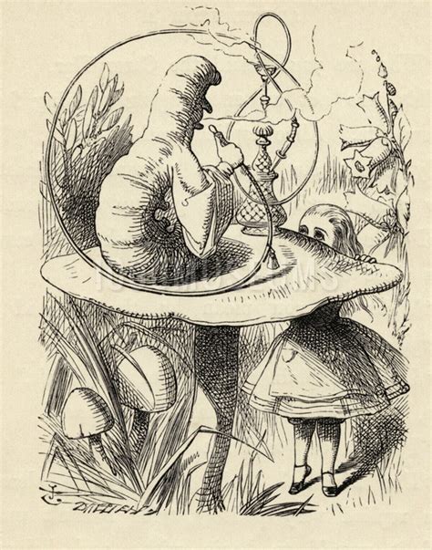 The alice in wonderland doorknob is no hallucination. Advice from a Caterpillar, from 'Alice's Adventures in ...