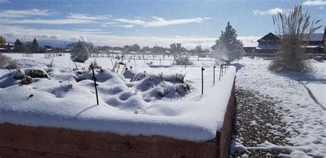 A properly winterized sprinkler blowout can be the difference between an easy spring start up and weeks if not months of problems the following season. Sprinkler System Winterizing | S&E Wards Landscape Management