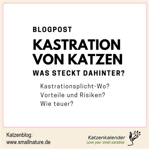 In abhängigkeit von rasse und geschlecht im alter von sechs bis acht monaten oder auch schon mit acht bis 14 wochen. Kastration von Katzen - was steckt dahinter?