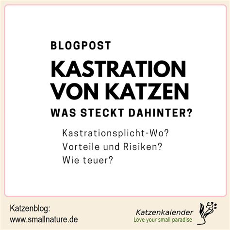 In abhängigkeit von rasse und geschlecht im alter von sechs bis acht monaten oder auch schon mit acht bis 14 wochen. Kastration von Katzen - was steckt dahinter?