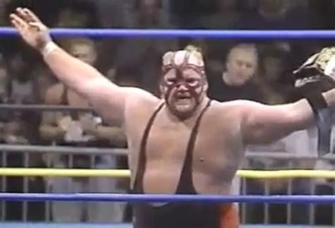 When it comes to brutality in wrestling, it's hard to overlook the names of big van vader and cactus jack. Accelerator's Wrestling Rollercoaster Bios