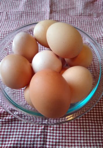 Relevance popular quick & easy. Eggs- Soy free, Non GMO - Dillingham Family Farm