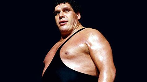 My name is <your name here>. Hi, My Name is: Andre the Giant - Cageside Seats