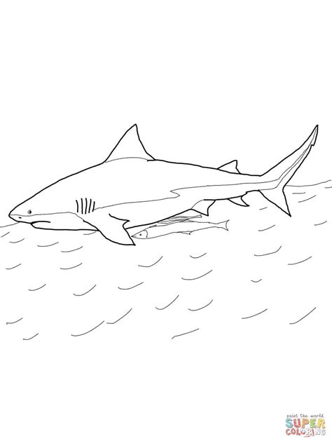 Lemon shark free vector we have about (683 files) free vector in ai, eps, cdr, svg vector illustration graphic art design format. Lemon Shark Coloring Page at GetColorings.com | Free ...