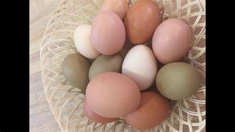 Eggs are graded by their size, and their weights change dramatically from one size to another, she says. Difference in Large Eggs, Medium Eggs, Extra Large Eggs ...