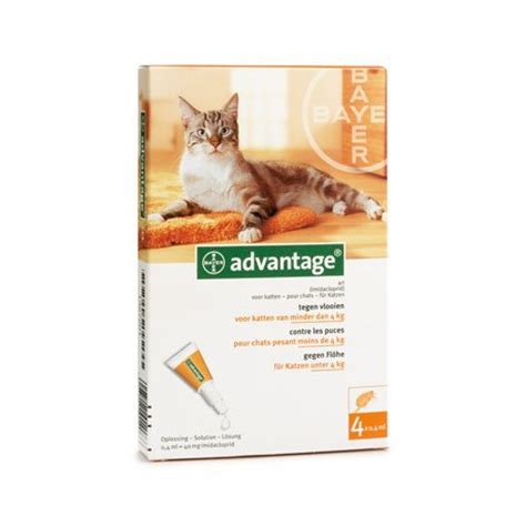 Prévention et traitement des infestations par les puces chez les chats et les lapins de compagnie de 4 kg et plus. Test anti puce chat advantage Comparatif & Avis【 Le ...