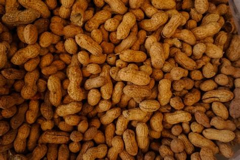 Ridascreen® aflatoxin b1 30/15 (art. Aflatoxin B1 in Peanuts, and How to Protect Yourself ...