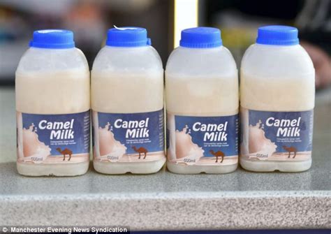 More than 7 where to buy camel milk at pleasant prices up to 196 usd fast and free worldwide shipping! Corner shop starts selling frozen CAMEL MILK for £6 a pin ...