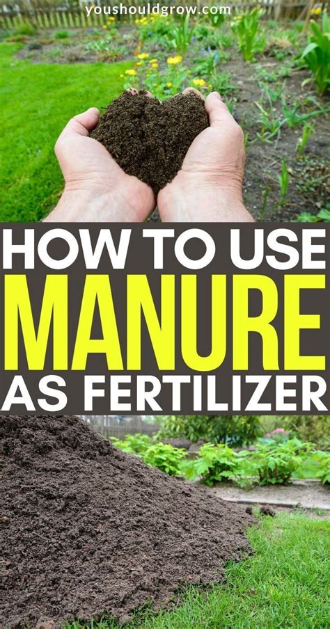 So almost any kind of soil mix which is designed. DIY Manure Fertilizer Tea | Vegetable garden markers ...