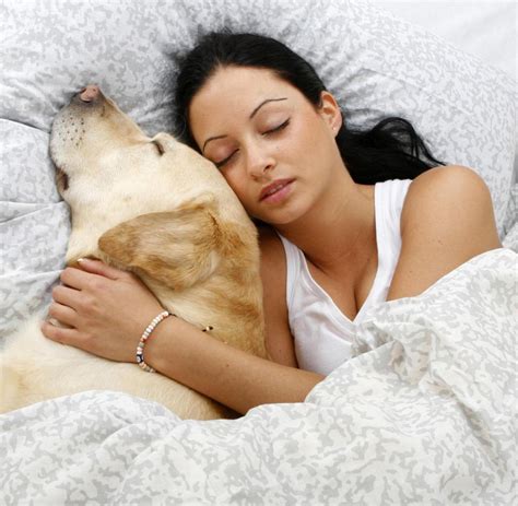 Amateur pärchen beim fick im schlafzimmer bett. Schlafstudie Frauen Sollten Lieber Hunde Ins Bett Nehmen Statt