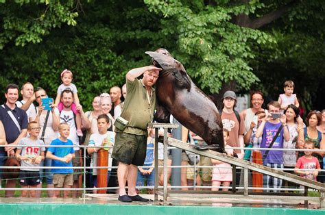 Állatkerti gondozó (székesfehérvár) munka mezőgazdaság, környezet területen. Interjú: Egy állatkerti gondozó útmutatója az ...