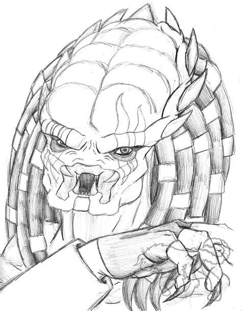 Summary predator drawing whole body stargate rasa info. Predator Face Drawing at GetDrawings | Free download