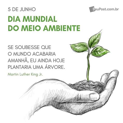 A vida com xícaras é mais saborosa! Frases para o Dia Mundial do Meio Ambiente. Baixe grátis e ...