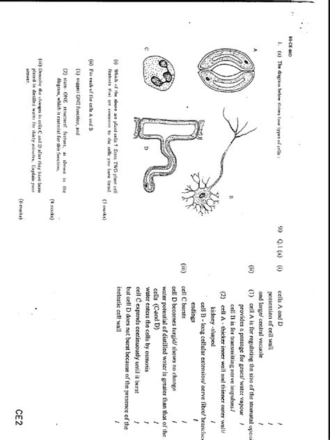 The marking scheme of english language, icse has changed for 2019. Marking Scheme > Biology 1990 Paper 1+Marking Scheme