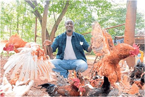 Raising chickens is unlike raising a typical animal e.g. Success Stories Of Poultry Farmers In Kenya - Farmer Foto ...