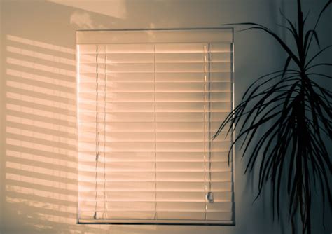 Still, finding cat proof curtains could mitigate this problem. How to Cat Proof Venetian Blinds (Without Hassle ...