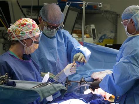On the other end, a senior level surgical oncologist (8+ years of experience) earns an average salary of $610,700. Renowned Surgical Oncologist, Dr. Mark Bloomston, Returns ...