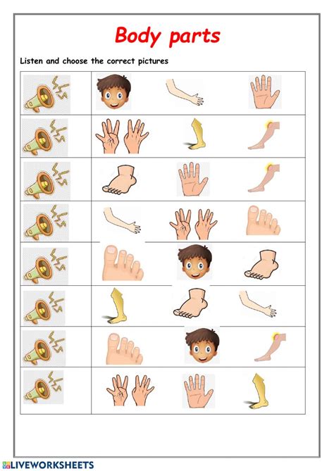 3 body parts exercises and worksheets. Body parts listening worksheet