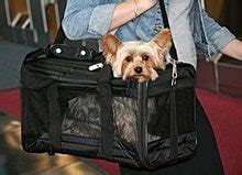 P.e.t.s is a usda certified transport service, members of the better business bureau and angie's list. Sherpa Original Deluxe Pet Carrier Review — Pet Carrier ...
