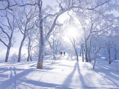 Around 6,000 people were forced to stay at new chitose airport in hokkaido for two nights since thursday due to heavy snowfall and squall wind, local media reported on saturday. Hokkaido 2019/2020 Winter Snowfall and Snowpack Statistics ...