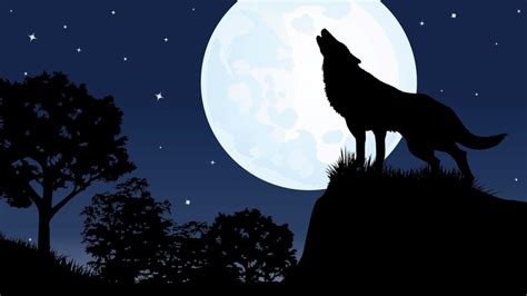 You may feel it a little more when the moon is in cancer, but generally, that's not really true. Can a full Moon really affect your sleep? - Strange Sounds