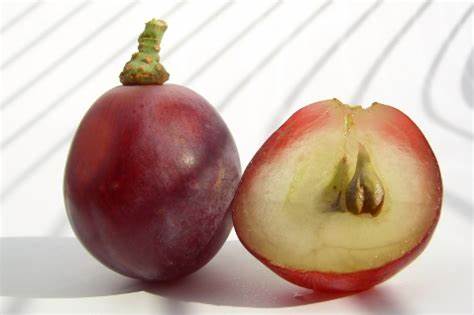 Масло виноградных косточек диета Масло виноградных косточек; польза виноградных косточек; применение Масло виноградных косточек; польза виноградных косточек; применение Масло виноградных косточек диета