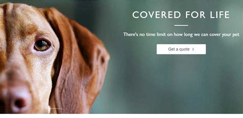 Get instant recommendations and trusted reviews. John Lewis Pet Insurance Promo Code Discount