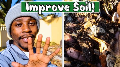 How to improve garden soil after planting. 5 GARDENING TIPS TO IMPROVE GARDEN SOIL | IMPROVE SOIL ...