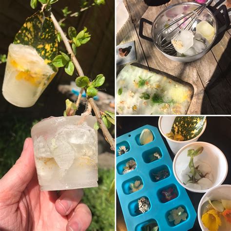 Communicate with babies with your happy, smiling eyes. Frozen flowers in 2020 | Flower ice cubes, Mud kitchen ...