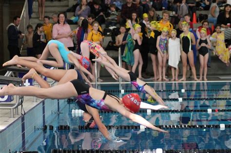 If saltwater pools are your style, try the commonwealth sports club. New to competitive swimming? - Abbotsleigh Swim Club