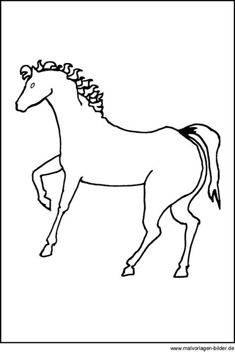 Ausmalbilder mit tieren führen ihr kind an die bildende kunst heran. Ritter pferd ausmalbild — black sale - 30% auf alles ...