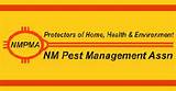 Photos of Pest Control Taos Nm