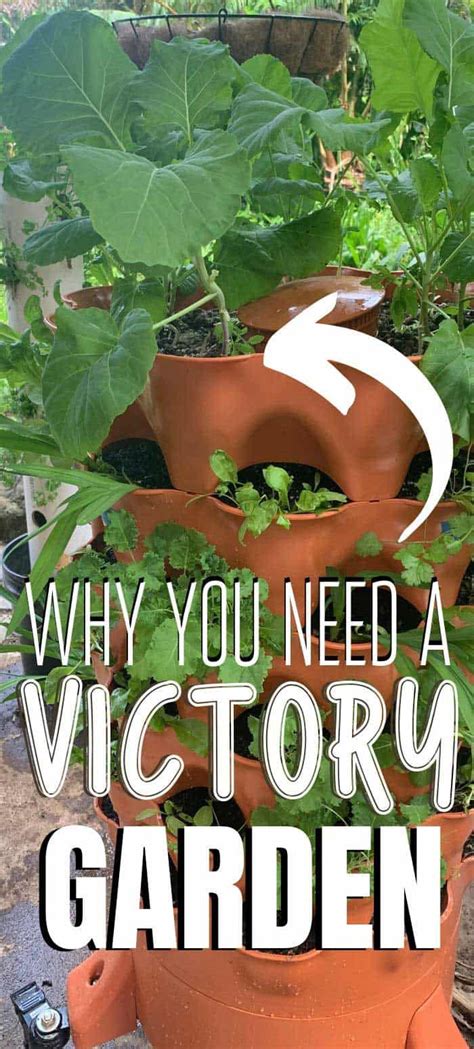 Extensive salad and deli bar, fresh fruits, and traditional fast food favorites. Get Started with a Victory Garden! in 2020 | Victory ...