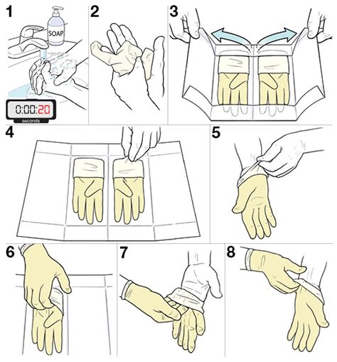 Place inner package on working surface and open up to see right and left gloves. Step-by-Step: Sterile Technique for Putting on Gloves ...