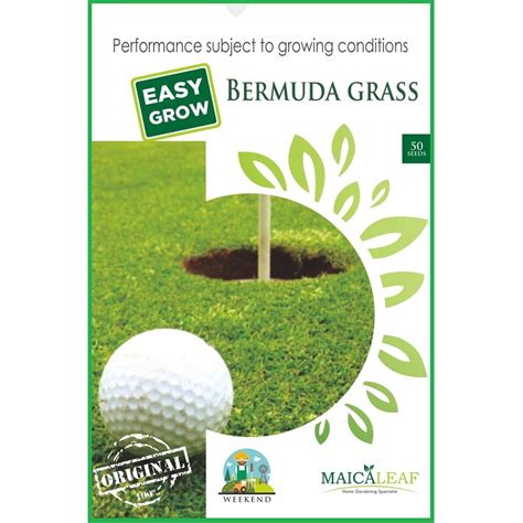 Rumput meningkatkan rupa yard, taman dan jalan raya. Benih Bibit Rumput GOLF 1pack | Shopee Indonesia