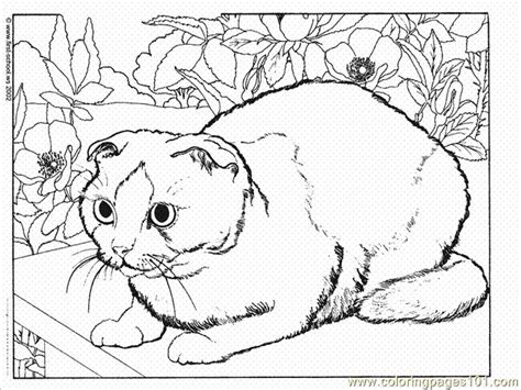 Posted in coloring for girls. Cat1 (5) coloring page - Free Printable Coloring Pages ...