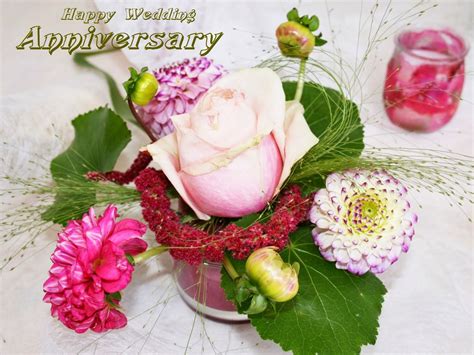 The perfect flower to mark your first wedding year anniversary is a carnation. Flower Boutique - Online Flower Delivery in India ...