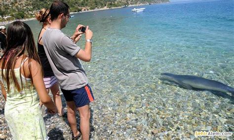 Deniz kenarına sıralanan yazlıkları, çay bahçeleri ve balık restoranlarıyla tam bir dingin ege kasabası görünümünde. Milas Ören Plajı Muğla Milas Plajlar SehirAlem.com