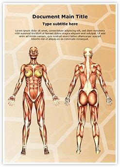 I hope you find them as useful as i do. Women Muscular Anatomy MS Word Template is one of the best ...